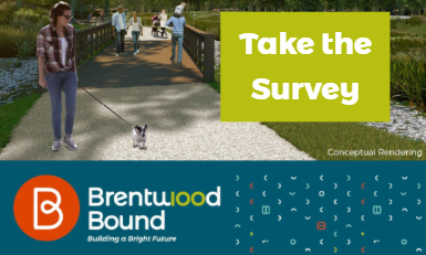 Brentwood Bound Survey Fall 2019