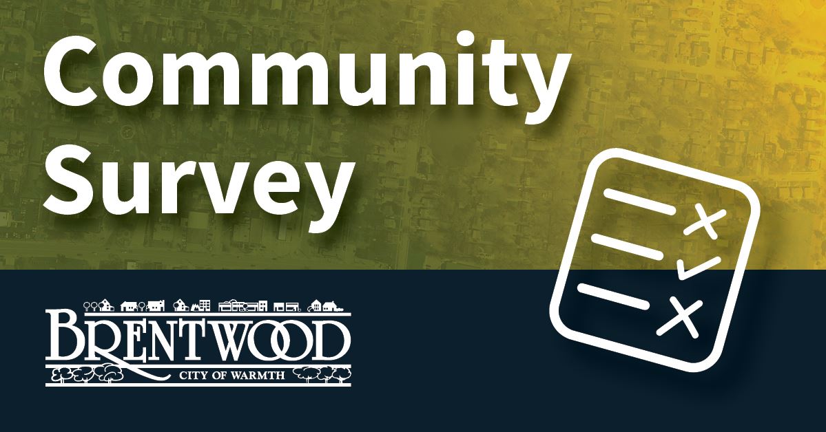 Brentwood Survey 2020 