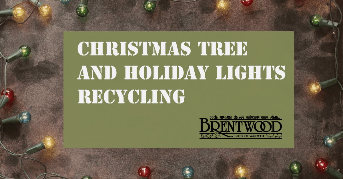 Tree and Light Recycling