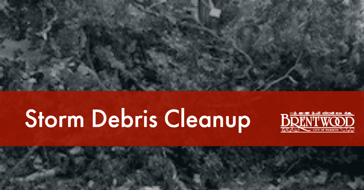 Storm Debris Cleanup